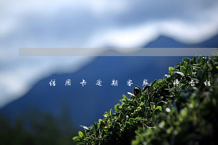 信用卡逾期客服說?？?信用卡逾期)