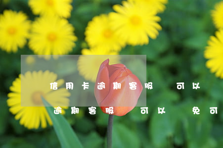 信用卡逾期客服說可以減免可信嗎-信用卡逾期客服說可以減免可信嗎怎么回答