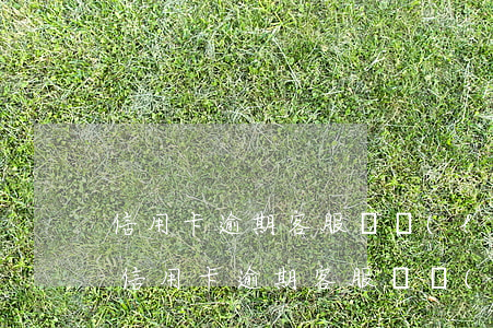 信用卡逾期客服說聯(lián)系第三方(信用卡逾期客服說聯(lián)系第三方催款)