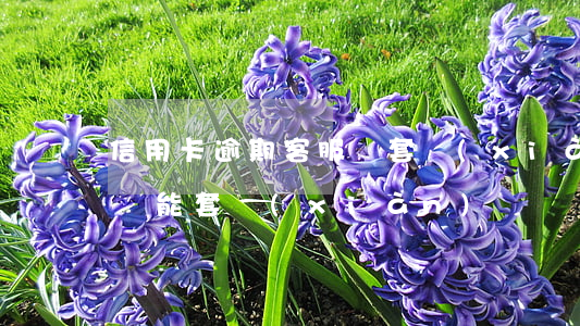 信用卡逾期客服讓套現(xiàn)還(逾期還能套現(xiàn)嗎)
