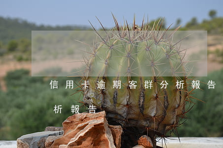 信用卡逾期客群分析報告(信用卡逾期客群分析報告)