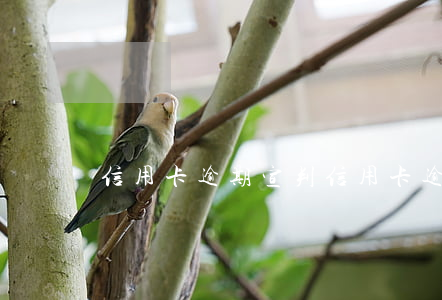 信用卡逾期宣判 信用卡逾期宣判結果