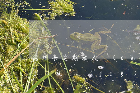 信用卡逾期家人儲(chǔ)蓄卡會(huì)被凍結(jié)嗎-信用卡逾期家人儲(chǔ)蓄卡會(huì)被凍結(jié)嗎怎么辦