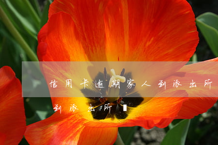 信用卡逾期家人到派出所錄(信用卡逾期家人到派出所錄)
