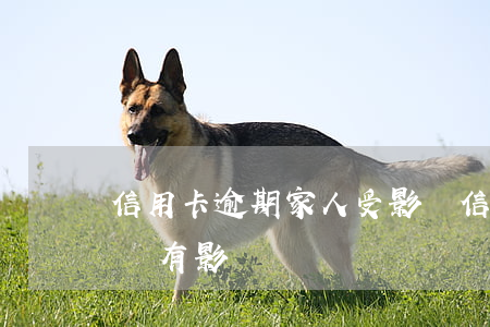 信用卡逾期家人受影響(信用卡逾期會對子女們有影響嗎?)