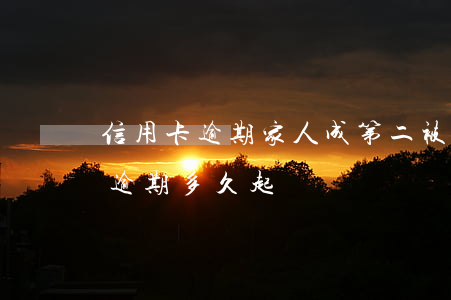信用卡逾期家人成第二被告(民生信用卡2萬逾期多久起訴)