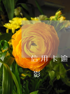 信用卡逾期家人有影響嗎（信用卡逾期家人有影響嗎）