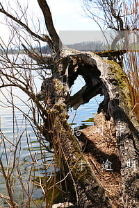 信用卡逾期家人被骚扰怎么投诉(家人的信用卡逾期律师打到我这里)