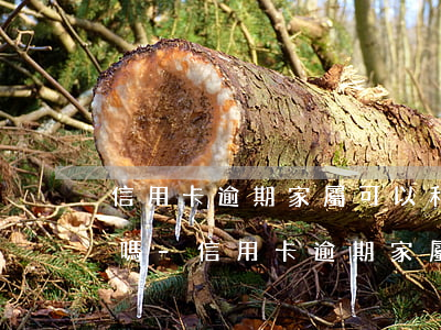 信用卡逾期家屬可以和銀行協(xié)商嗎-信用卡逾期家屬可以和銀行協(xié)商嗎知乎