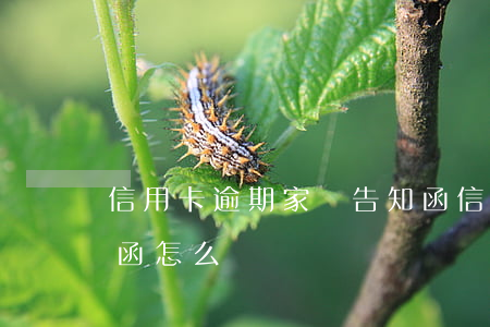 信用卡逾期家屬告知函(信用卡逾期家屬告知函怎么寫)