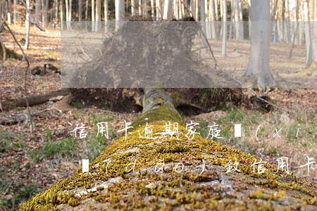 信用卡逾期家庭協(xié)商 因家庭困難導(dǎo)致信用卡逾期