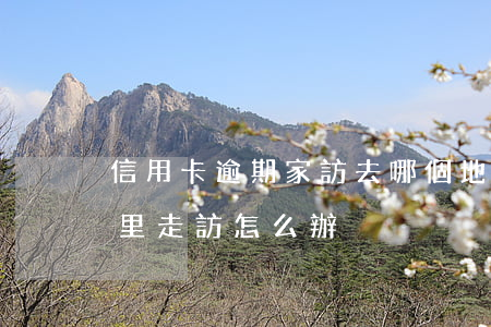 信用卡逾期家訪去哪個地址(信用卡逾期到家里走訪怎么辦)