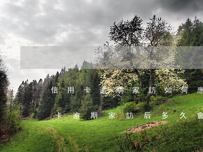 信用卡逾期家訪如何應(yīng)對(信用卡逾期家訪后多久會(huì)起訴)