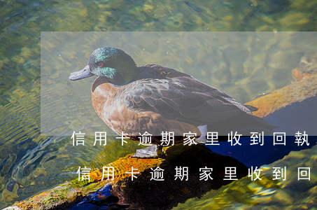 信用卡逾期家里收到回執(zhí)單咋整(信用卡逾期家里收到回執(zhí)單咋整)