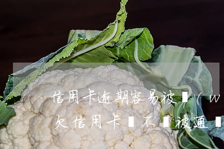 信用卡逾期容易被網(wǎng)上通緝嗎(欠信用卡會不會被通緝)