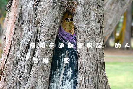 信用卡逾期容易起訴的人(信用卡逾期被起訴后果嚴重嗎)