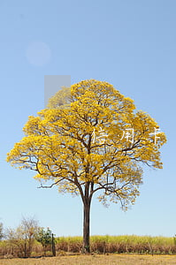 信用卡逾期容錯期(信用卡逾期容錯期)