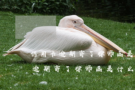 信用卡逾期寄了律师函是什么意思-信用卡逾期寄了律师函是什么意思啊