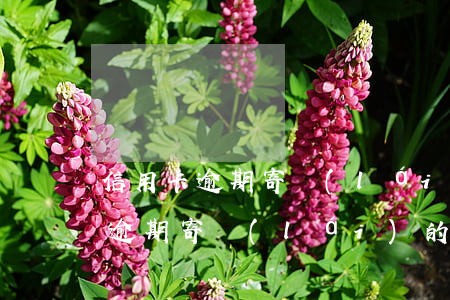 信用卡逾期寄來(lái)的律師函(信用卡逾期寄來(lái)的律師函)