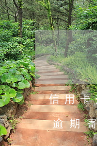 信用卡逾期寄來了催款通知函上海-信用卡逾期寄來了催款通知函上海怎么辦