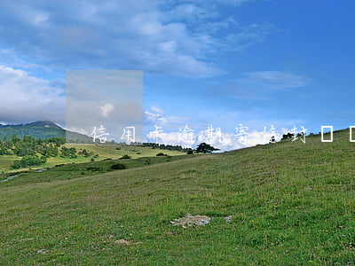 信用卡逾期寄信封沒貼口