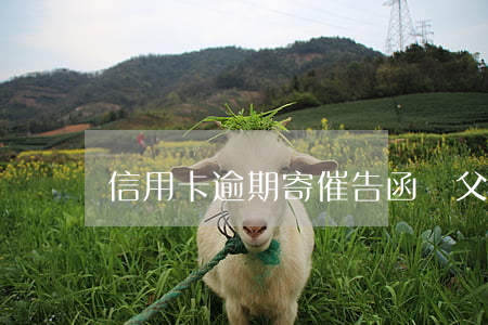 信用卡逾期寄催告函給父母(逾期催告通知)