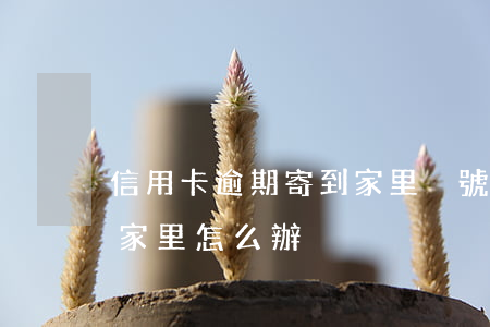 信用卡逾期寄到家里掛號信(催收寄掛號信到家里怎么辦)