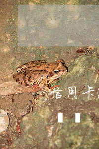 信用卡逾期寄快遞過來(為什么會有信用卡寄過來)
