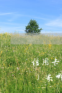 信用卡逾期寄掛號(hào)信會(huì)寄哪里(信用卡逾期寄掛號(hào)信會(huì)寄哪里)
