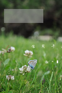 信用卡逾期寄的ems 信用卡逾期寄的信可以拒簽嗎