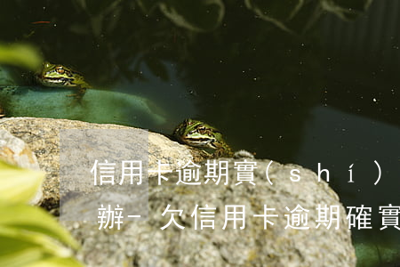 信用卡逾期實(shí)在沒有能力還怎么辦-欠信用卡逾期確實(shí)沒能力還怎么辦