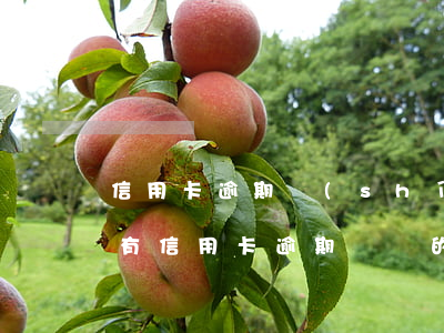 信用卡逾期實(shí)在沒能力還了(有沒有信用卡逾期沒還的)