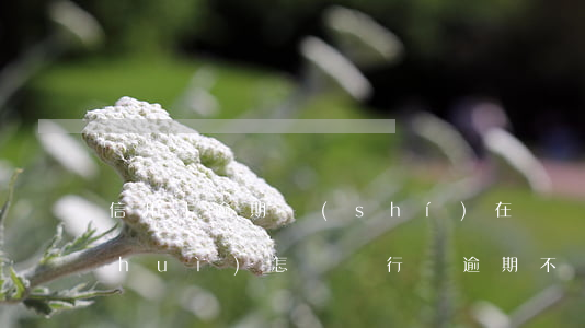 信用卡逾期實(shí)在沒錢還銀行會(huì)怎樣(銀行錢逾期不還會(huì)怎么樣)