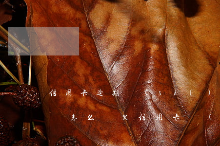 信用卡逾期實(shí)在無(wú)力償還怎么辦(欠信用卡實(shí)在無(wú)力償還怎么辦)