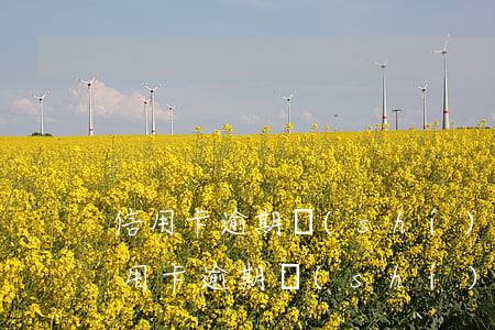 信用卡逾期實(shí)地走訪是真的嗎（信用卡逾期實(shí)地走訪是真的嗎）