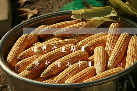 信用卡逾期實(shí)際坐牢有多少人(欠多少信用卡會(huì)坐牢)