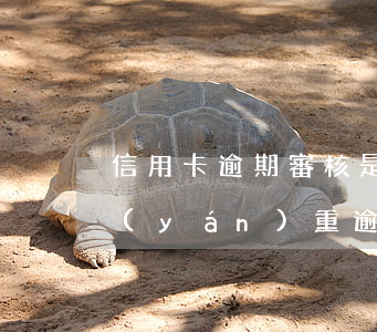 信用卡逾期審核是什么意思(什么叫信用卡嚴(yán)重逾期)