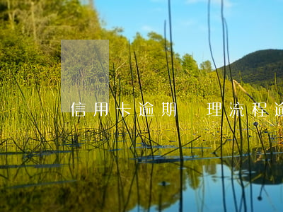 信用卡逾期審理流程(逾期記錄申請信用卡) 信用卡逾期審理流程(逾期記錄申請信用卡)