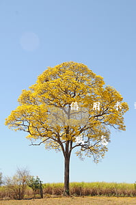 信用卡逾期寫(xiě)書(shū)面模板 怎樣寫(xiě)信用卡逾期申請(qǐng)書(shū)
