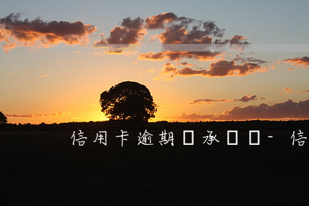 信用卡逾期寫承諾書-信用卡逾期寫承諾書