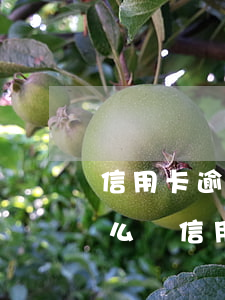 信用卡逾期寫申請(qǐng)書給銀行怎么寫（信用卡逾期寫申請(qǐng)書）