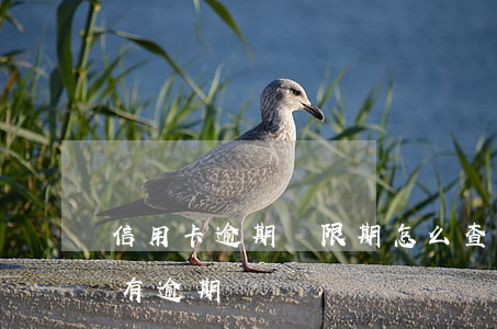 信用卡逾期寬限期怎么查(如何查信用卡是否有逾期)