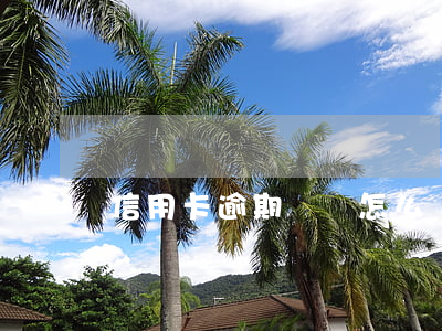 信用卡逾期寶媽怎么還(寶媽逾期怎么辦)