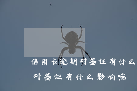信用卡逾期对签证有什么影响-信用卡逾期对签证有什么影响嘛