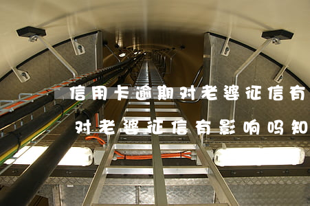 信用卡逾期对老婆征信有影响吗(信用卡逾期对老婆征信有影响吗知乎)