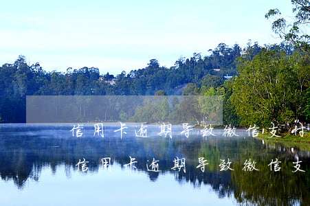 信用卡逾期导致微信支付功能限制怎么办-信用卡逾期导致微信支付功能限制怎么办