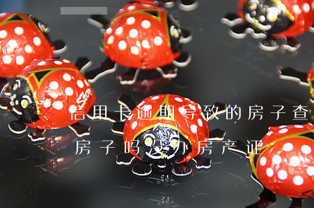 信用卡逾期导致的房子查封(欠信用卡会查封房子吗?没办房产证)