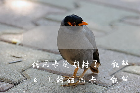 信用卡逾期封了還能解開嗎 逾期凍結(jié)的信用卡還能解凍嗎