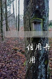 信用卡 逾期 封卡-信用卡逾期封卡還完還能用嗎