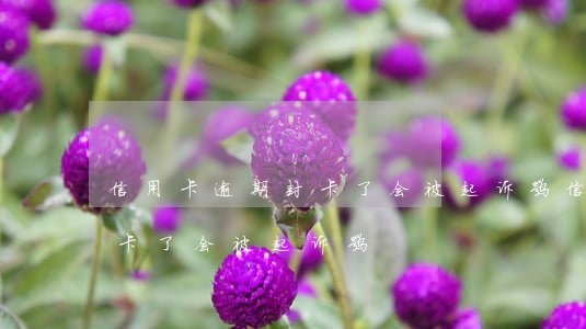 信用卡逾期封卡了会被起诉嘛（信用卡逾期封卡了会被起诉嘛）